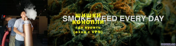 стафф Богородицк