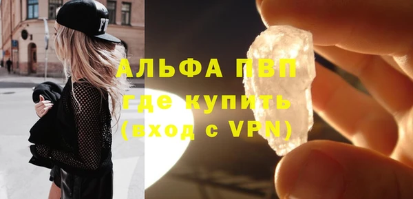 мдпв Бородино