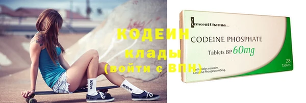 мдпв Бородино