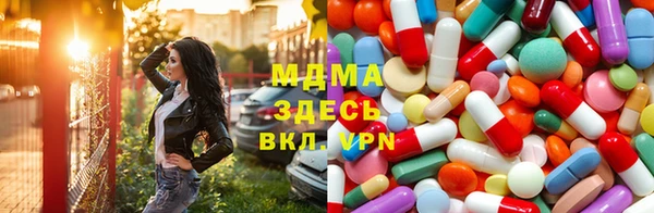 мдпв Бородино