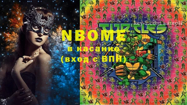 мдпв Бородино
