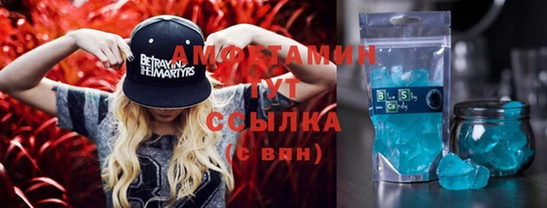мдпв Бородино