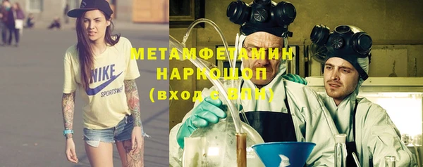 мдпв Бородино