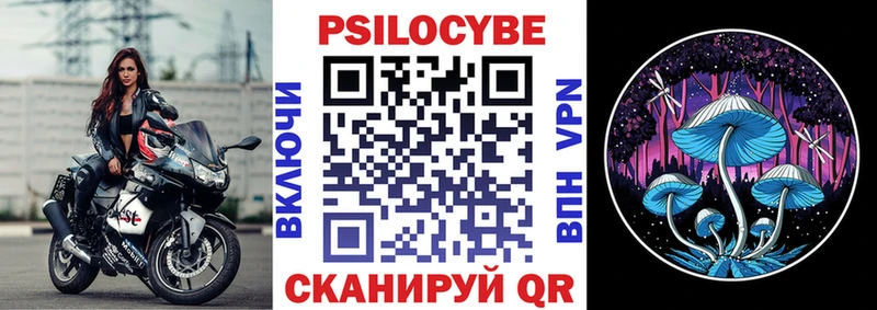 дарнет шоп  Дмитриев  Псилоцибиновые грибы GOLDEN TEACHER 